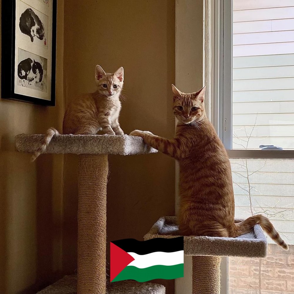 Meet your Posher, Emilie